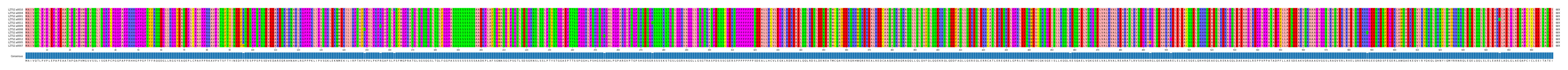 Multiple Alignments (by translate haplotype similarity)