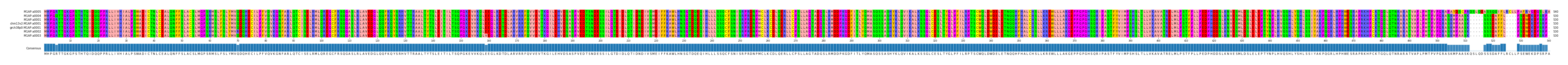 Multiple Alignments (by translate haplotype similarity)
