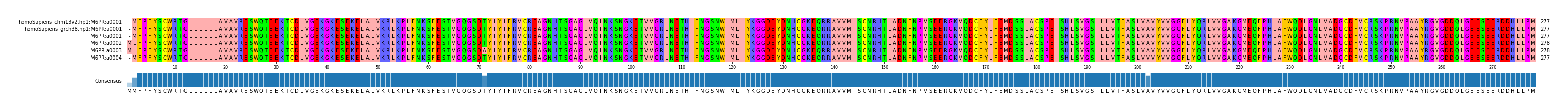 Multiple Alignments (by translate haplotype frequency)