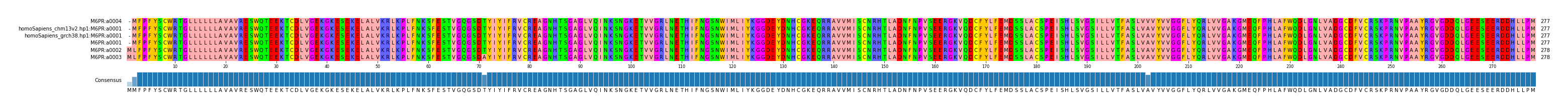 Multiple Alignments (by translate haplotype similarity)