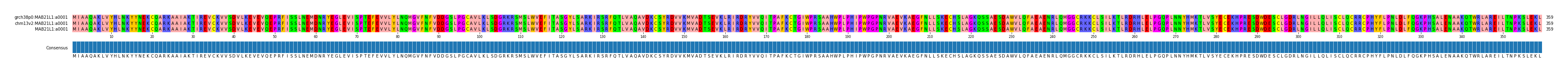 Multiple Alignments (by translate haplotype frequency)