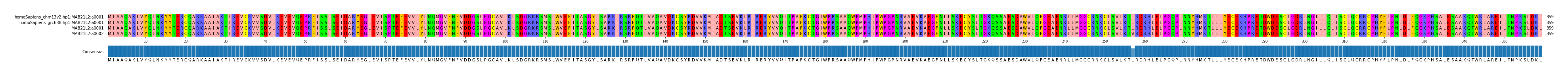 Multiple Alignments (by translate haplotype frequency)