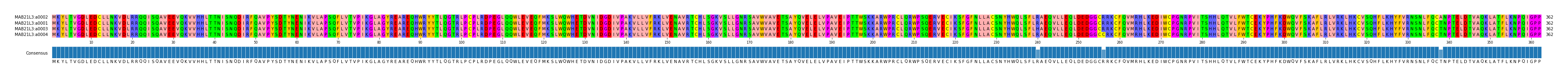 Multiple Alignments (by translate haplotype similarity)