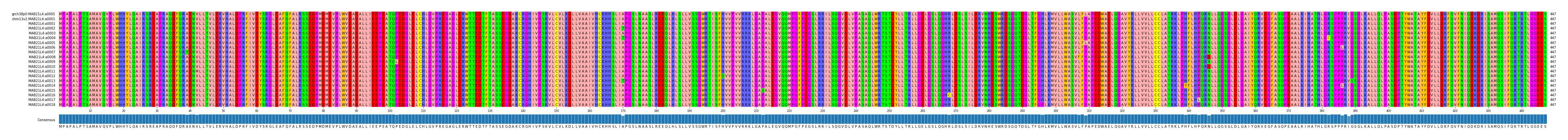 Multiple Alignments (by translate haplotype frequency)