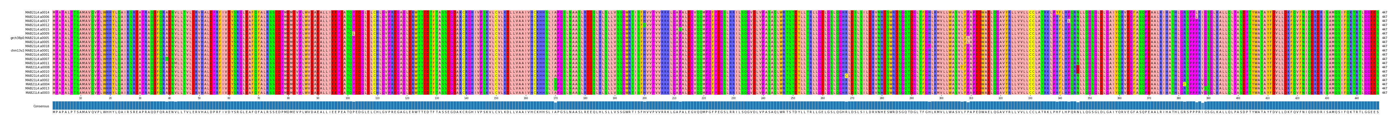 Multiple Alignments (by translate haplotype similarity)