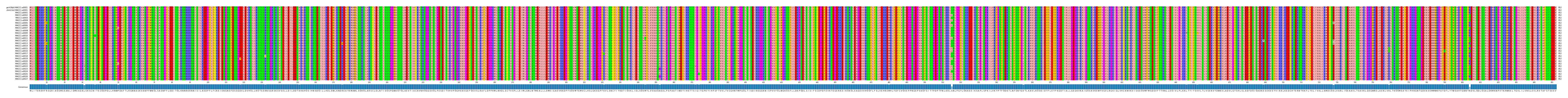 Multiple Alignments (by translate haplotype frequency)