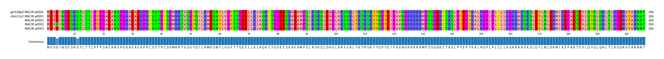 Multiple Alignments (by translate haplotype frequency)