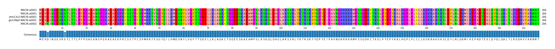 Multiple Alignments (by translate haplotype similarity)
