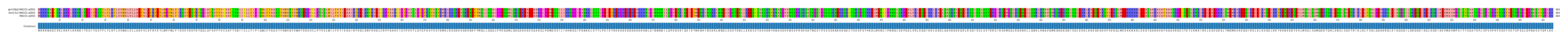 Multiple Alignments (by translate haplotype similarity)