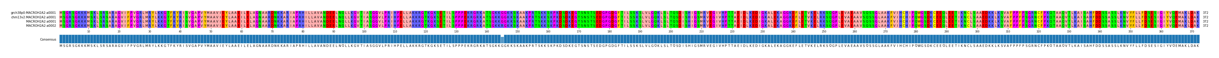 Multiple Alignments (by translate haplotype similarity)