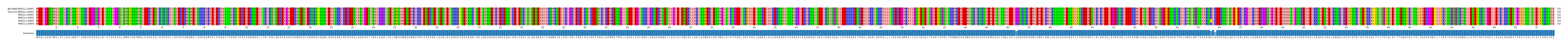 Multiple Alignments (by translate haplotype frequency)