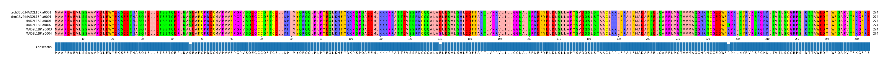 Multiple Alignments (by translate haplotype frequency)