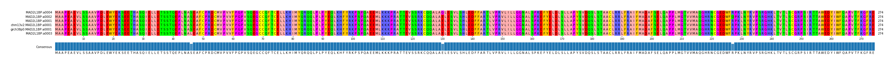 Multiple Alignments (by translate haplotype similarity)