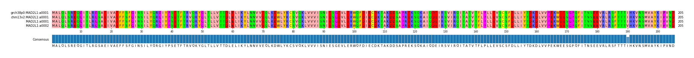 Multiple Alignments (by translate haplotype similarity)