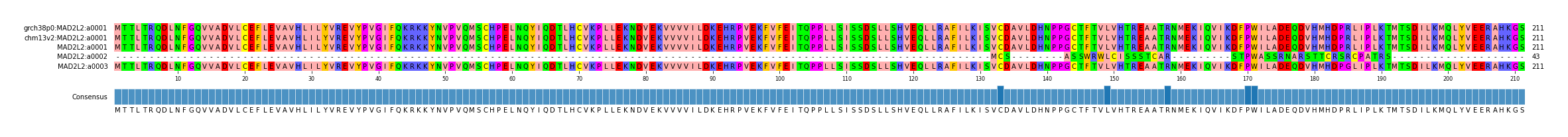 Multiple Alignments (by translate haplotype frequency)