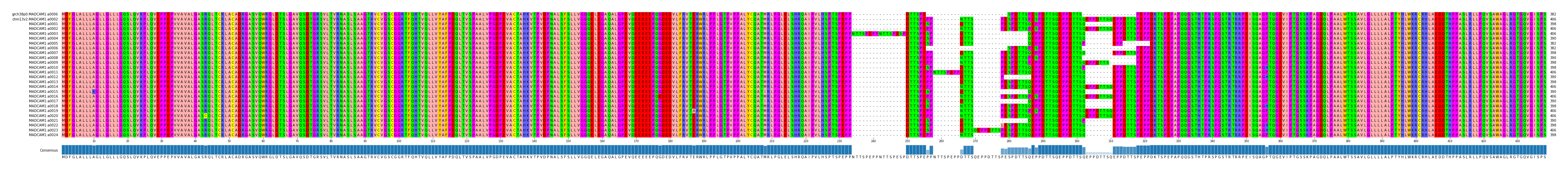 Multiple Alignments (by translate haplotype frequency)