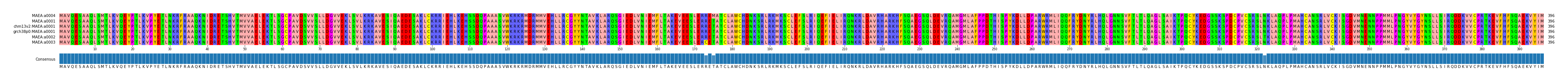 Multiple Alignments (by translate haplotype similarity)