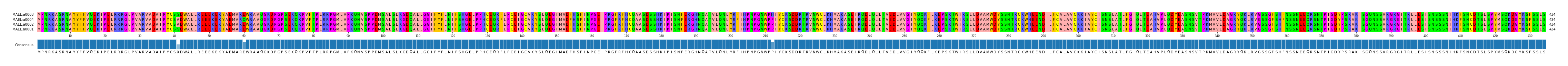 Multiple Alignments (by translate haplotype similarity)