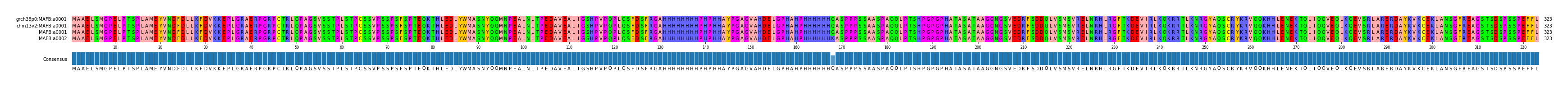 Multiple Alignments (by translate haplotype similarity)