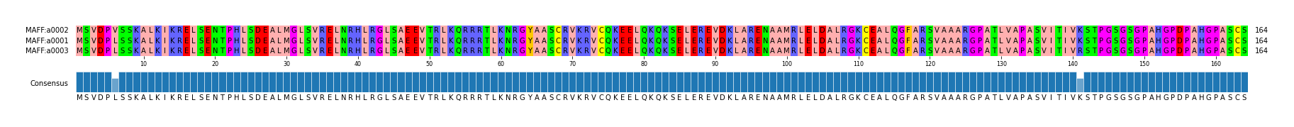 Multiple Alignments (by translate haplotype similarity)