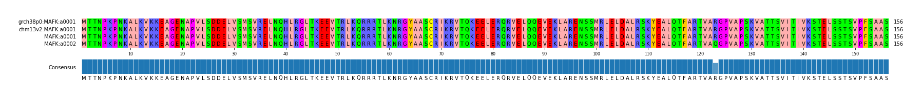 Multiple Alignments (by translate haplotype similarity)