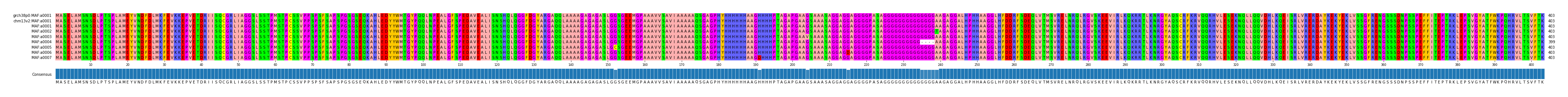 Multiple Alignments (by translate haplotype frequency)