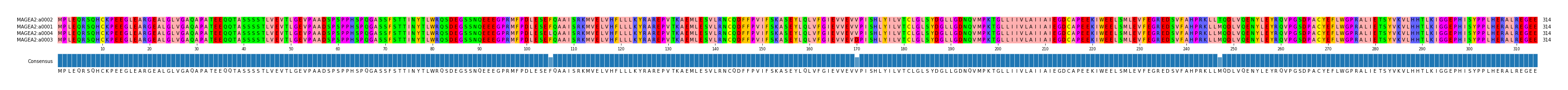 Multiple Alignments (by translate haplotype similarity)