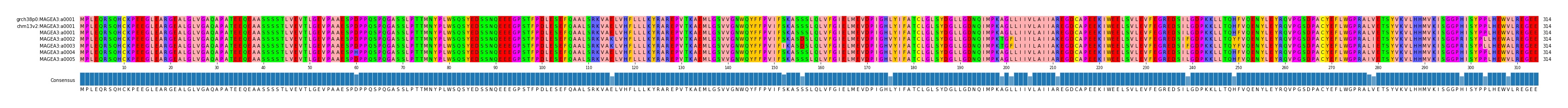 Multiple Alignments (by translate haplotype frequency)