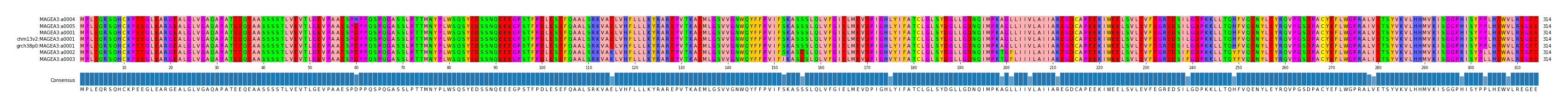 Multiple Alignments (by translate haplotype similarity)