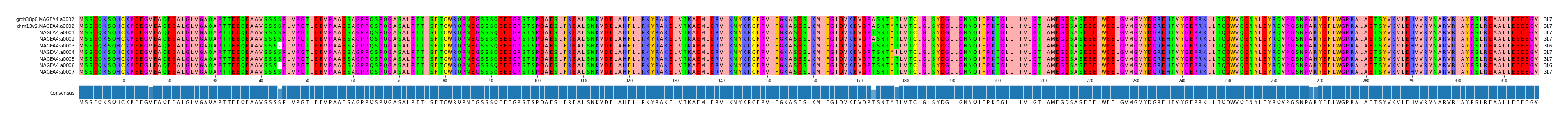 Multiple Alignments (by translate haplotype frequency)
