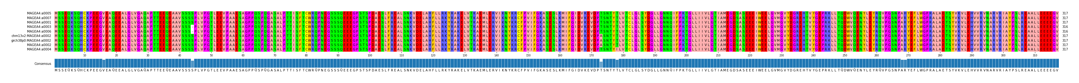 Multiple Alignments (by translate haplotype similarity)