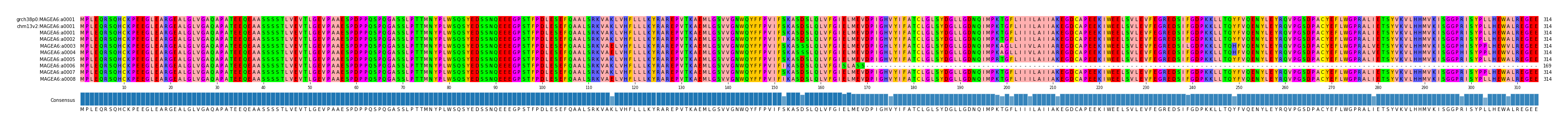 Multiple Alignments (by translate haplotype frequency)