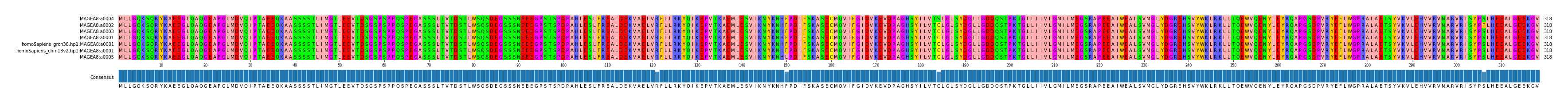 Multiple Alignments (by translate haplotype similarity)