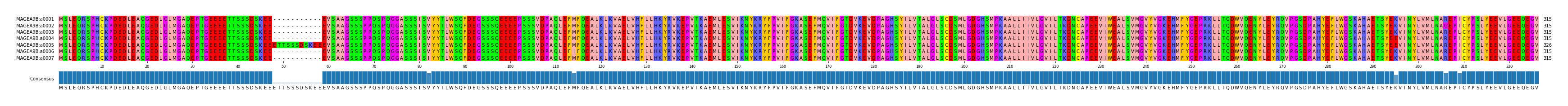 Multiple Alignments (by translate haplotype frequency)
