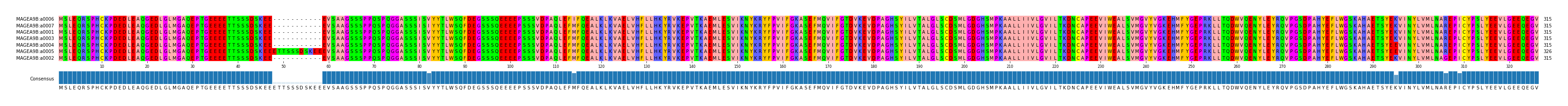 Multiple Alignments (by translate haplotype similarity)
