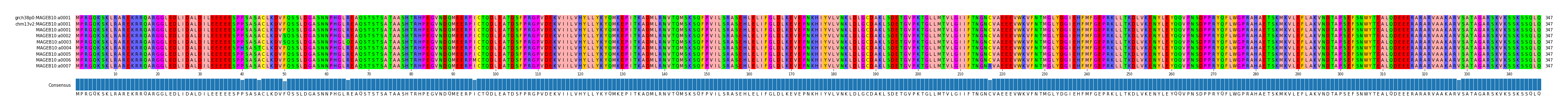 Multiple Alignments (by translate haplotype frequency)