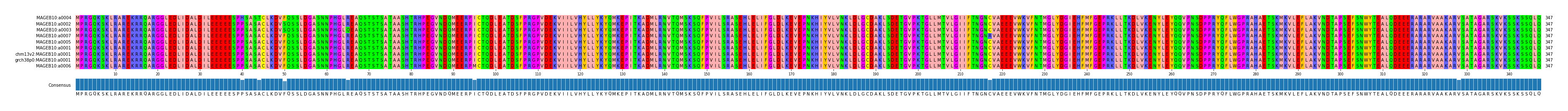 Multiple Alignments (by translate haplotype similarity)