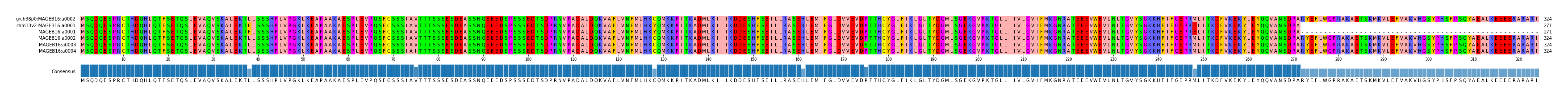 Multiple Alignments (by translate haplotype frequency)