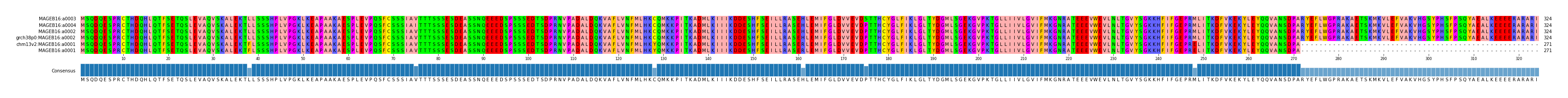 Multiple Alignments (by translate haplotype similarity)