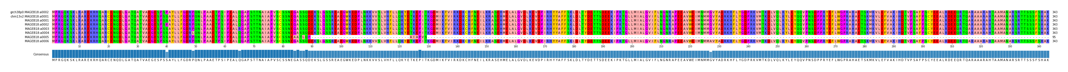 Multiple Alignments (by translate haplotype frequency)