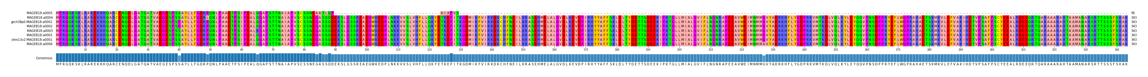 Multiple Alignments (by translate haplotype similarity)