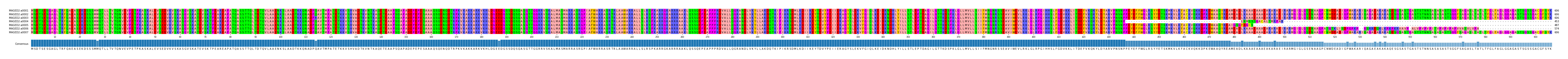 Multiple Alignments (by translate haplotype frequency)