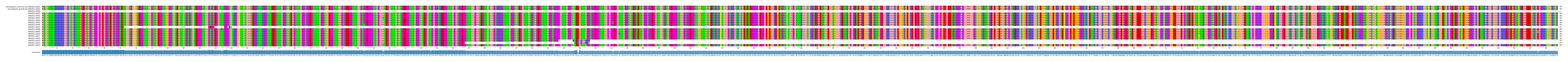 Multiple Alignments (by translate haplotype frequency)