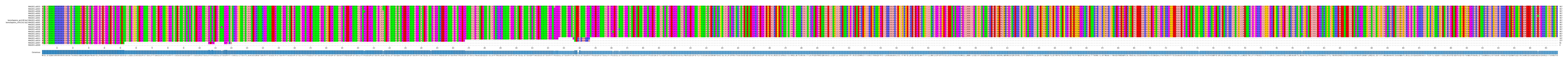 Multiple Alignments (by translate haplotype similarity)