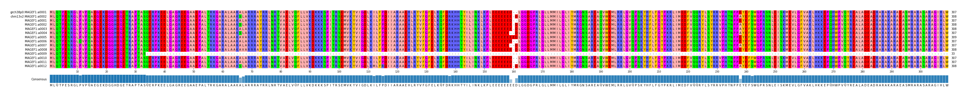 Multiple Alignments (by translate haplotype frequency)