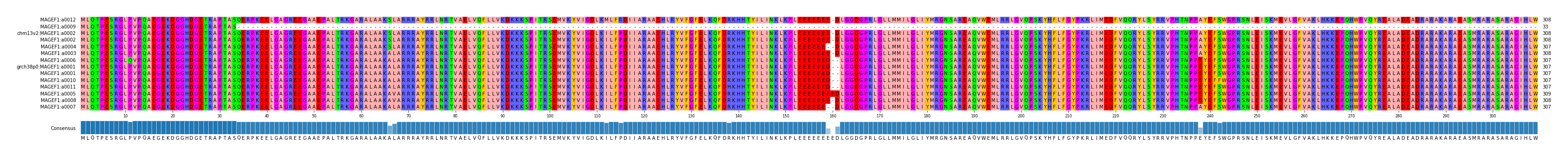 Multiple Alignments (by translate haplotype similarity)