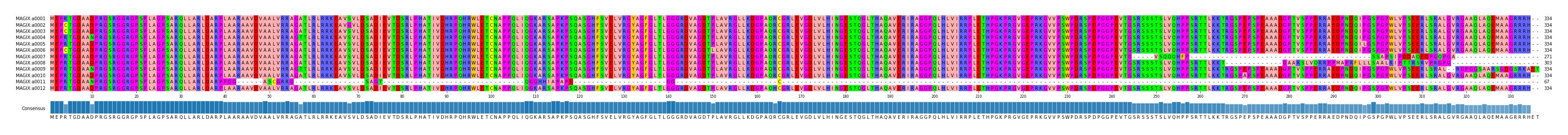 Multiple Alignments (by translate haplotype frequency)