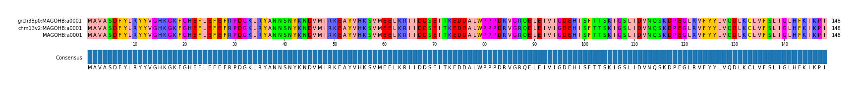 Multiple Alignments (by translate haplotype similarity)