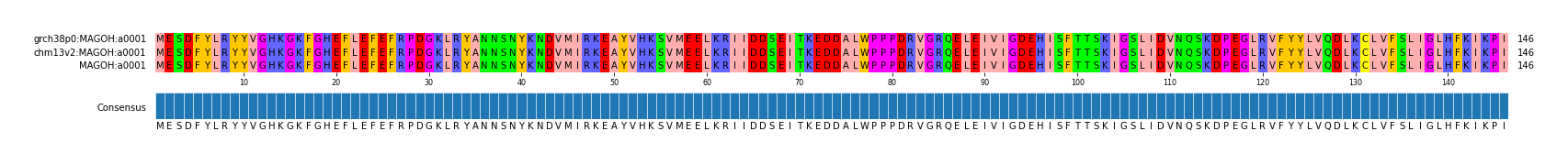 Multiple Alignments (by translate haplotype similarity)