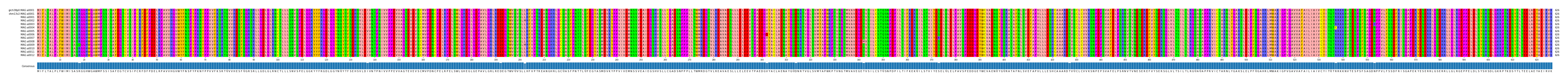 Multiple Alignments (by translate haplotype frequency)
